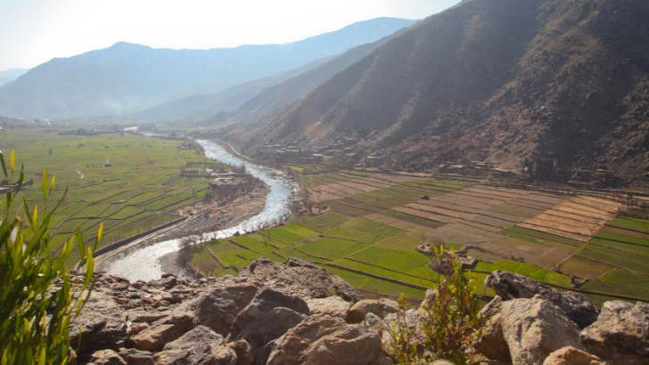 https://salarnews.in/public/uploads/images/newsimages/maannewsimage24102025_221152_Webs 728x410.png